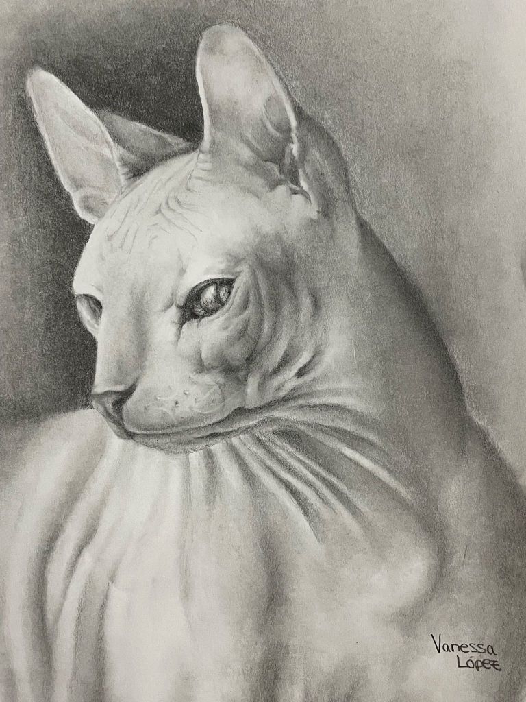 Gato egipcio a grafito